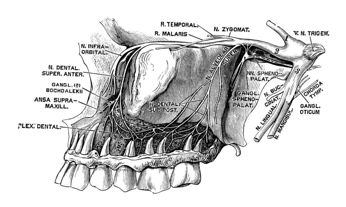 Sphenopalatine Block